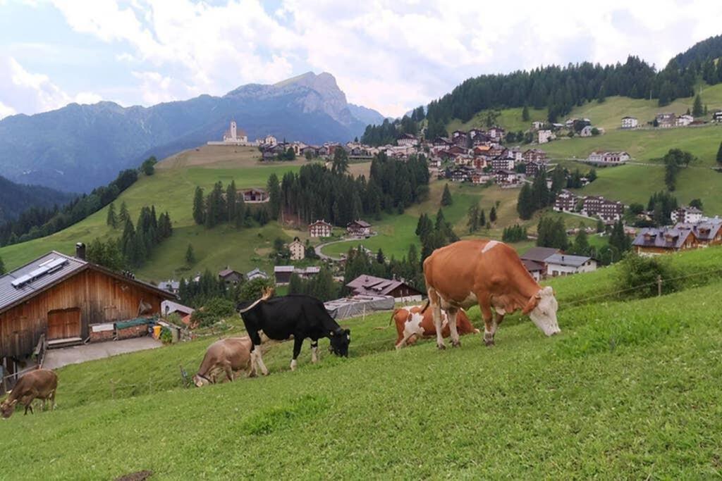 App. Monte Pore - Agriturismo La Majon Colle Santa Lucia Buitenkant foto